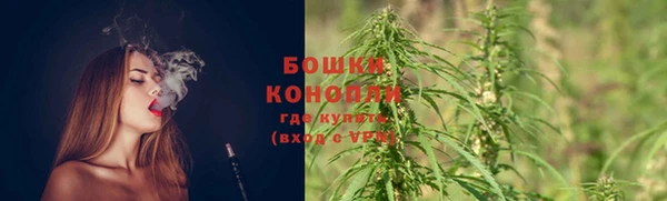 спайс Мегион