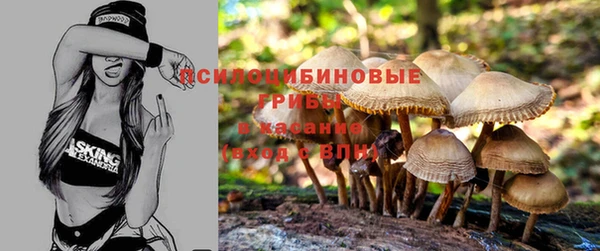 тгк Медногорск