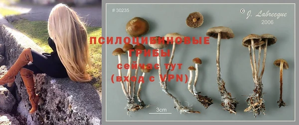 тгк Медногорск