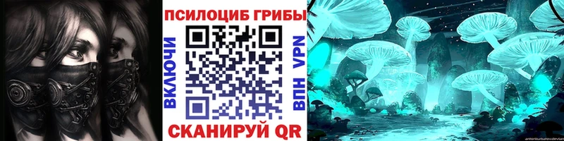 Псилоцибиновые грибы Psilocybe Нижний Ломов
