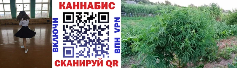 Бошки Шишки гибрид  цена наркотик  Нижний Ломов 